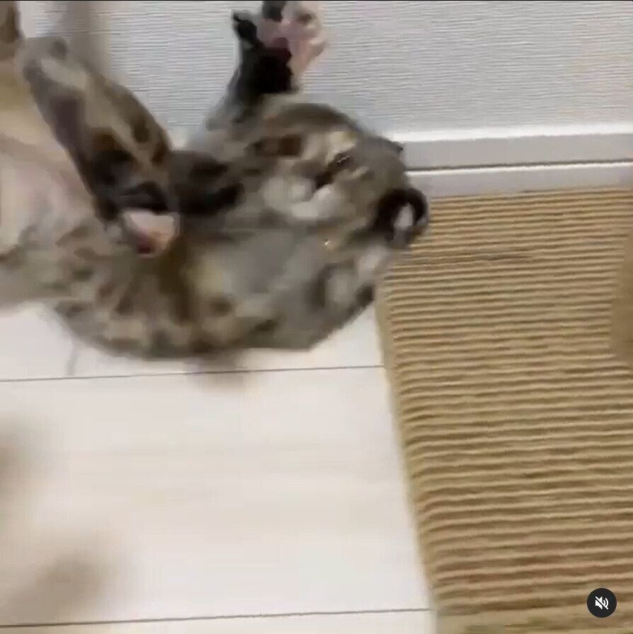 ダッシュして転倒