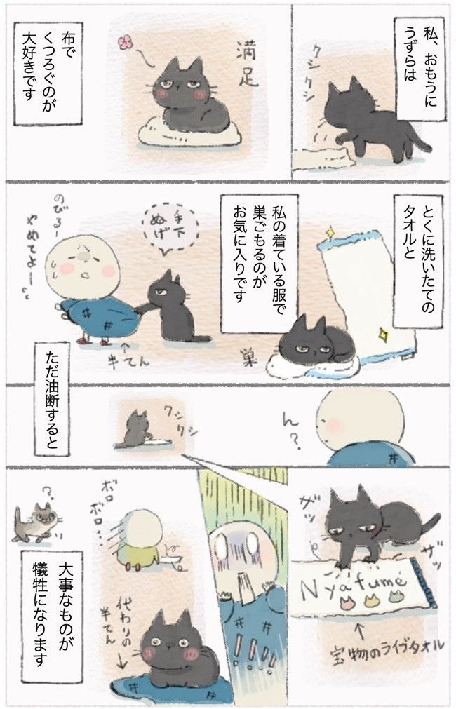 「ねこ連れ草」12話め