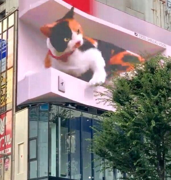 「3D巨大猫」