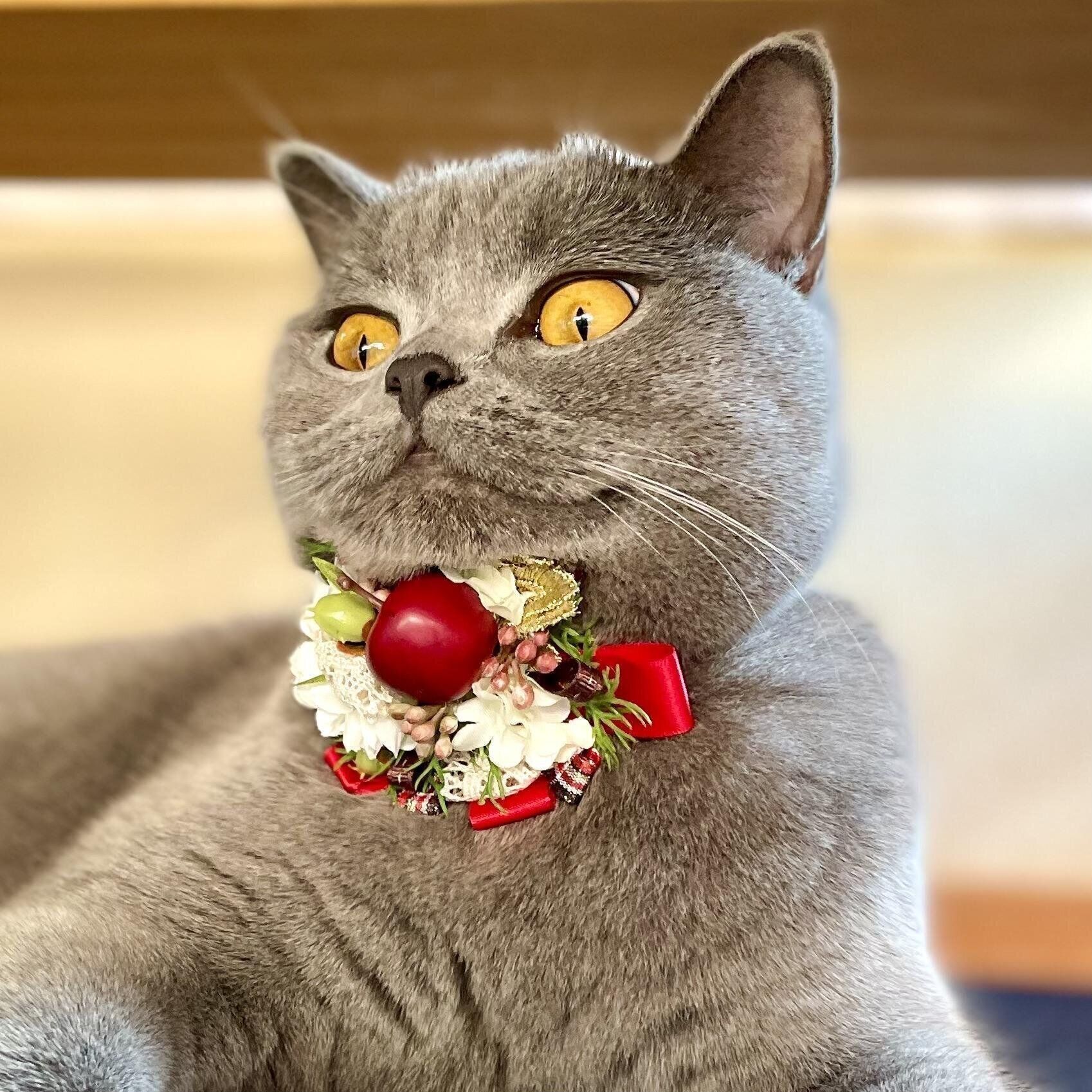 このはな堂作品