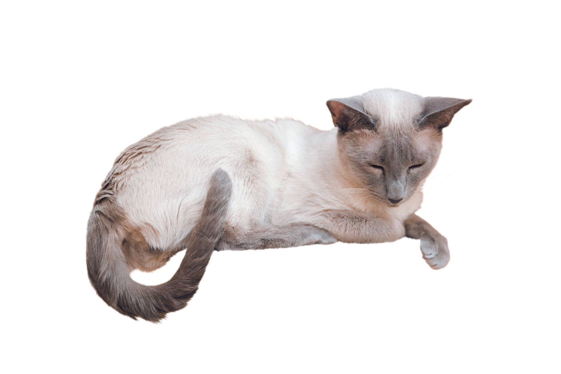 撮影／中川文作