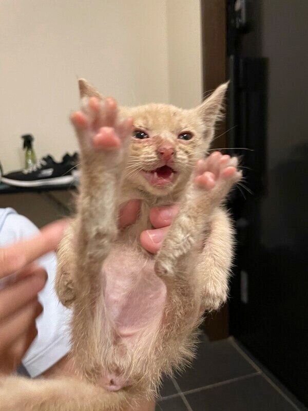 出会った頃のダニエルくん