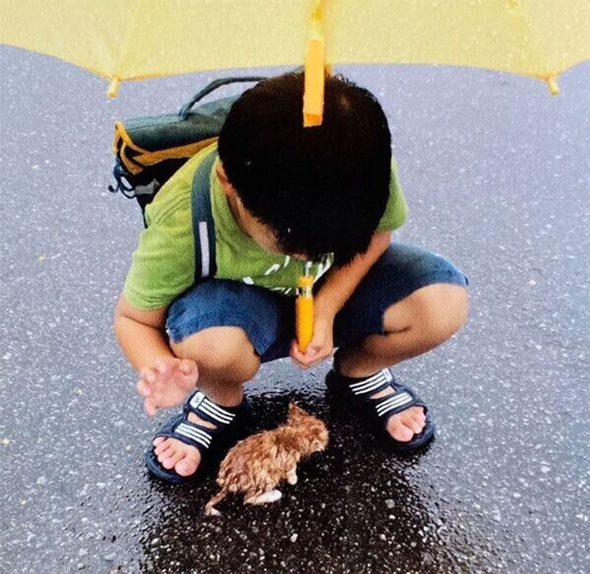 雨の中 男の子の足元に現れたずぶ濡れの子猫 出会いから10年 兄弟の絆 の物語を聞いた ねこのきもちweb Magazine 雨の中 男の子の足元に現れたずぶ濡れの子猫 出会いから10年 兄弟の絆 の物語を聞いた ねこのきもちweb Magazine