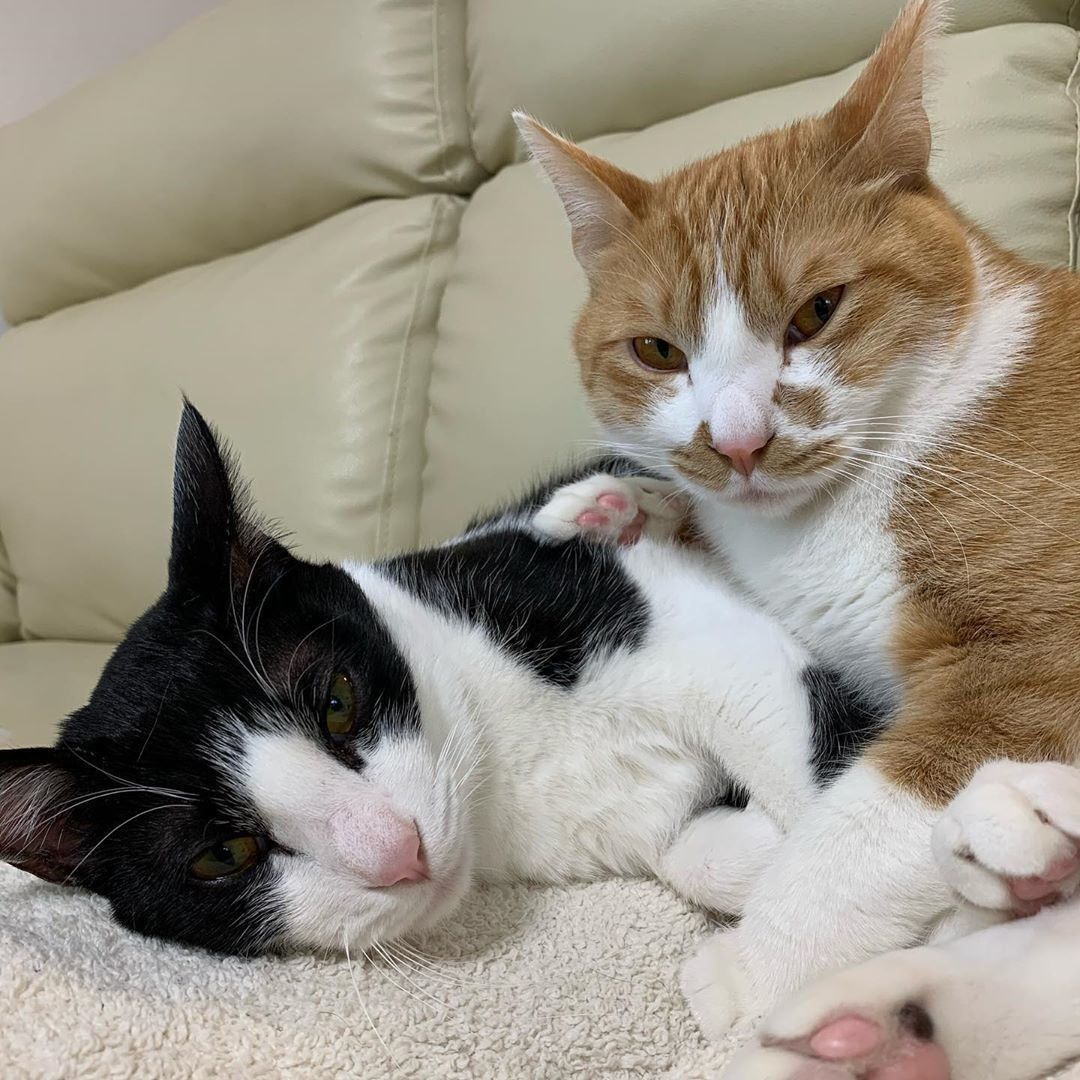 仲良しなじんちゃんとがくちゃん