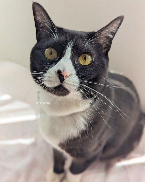 太陽の反射に夢中になる天ちゃん