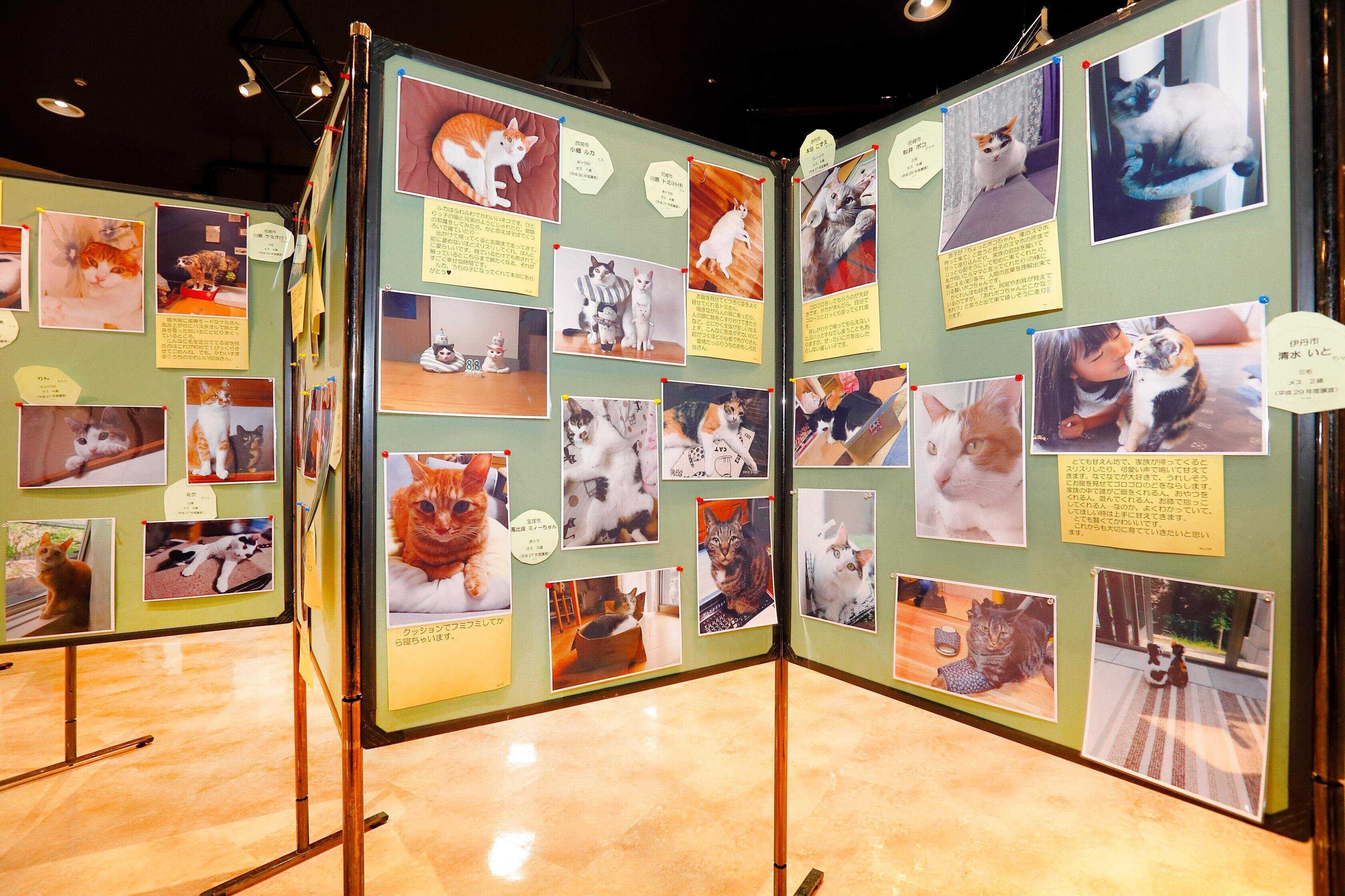 撮影／後藤さくら