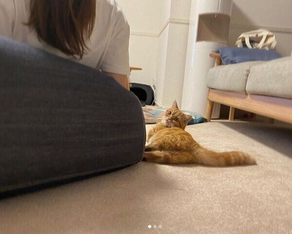 飼い主さんの友人の隣をキープするメリダちゃん