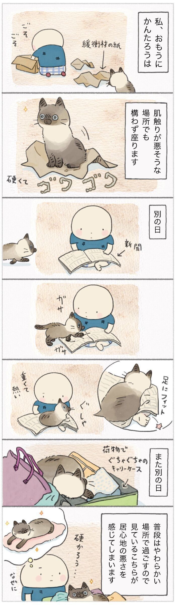 「ねこ連れ草」236話め