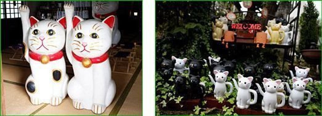 招き猫発祥の地に現れる白猫 ナミちゃん ねこのきもちweb Magazine 招き猫発祥の地に現れる白猫 ナミちゃん ねこのきもちweb Magazine