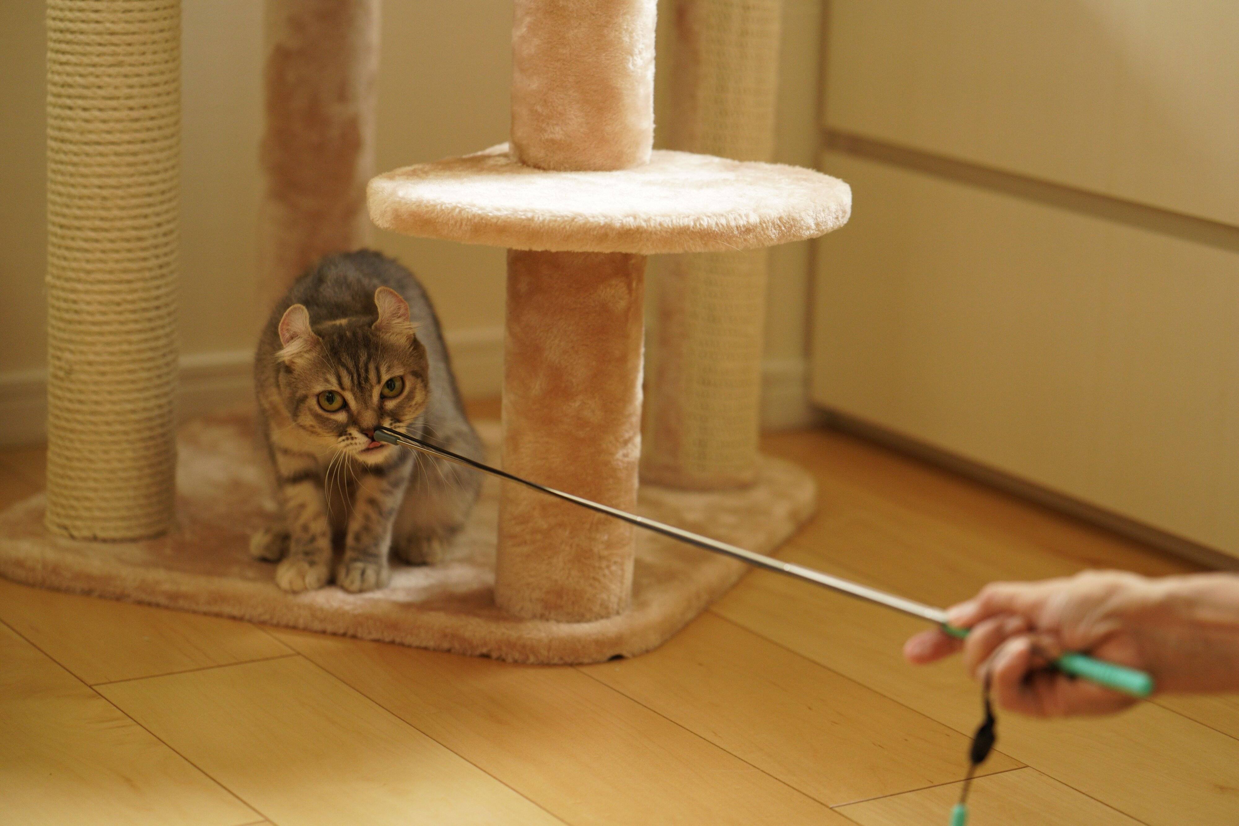 撮影／石原さくら