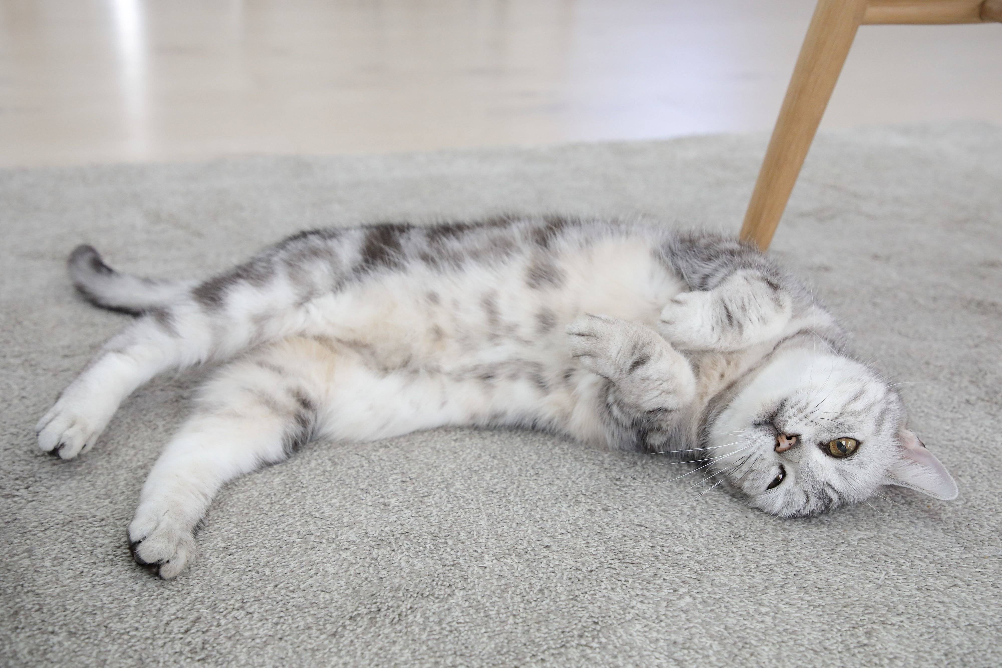 撮影／尾﨑たまき