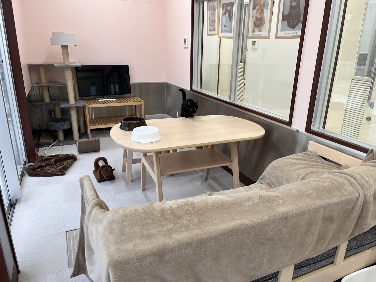 写真提供／神戸市環境衛生課