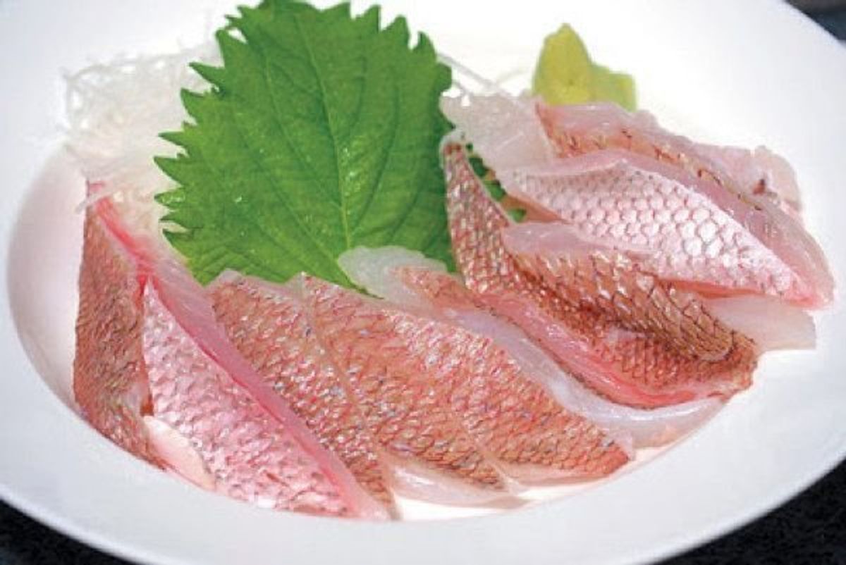 猫は魚が好き 猫が食べると危険な Ng魚介類 とは ねこのきもちweb Magazine 猫は魚が好き 猫が食べると危険な Ng魚介類 とは ねこのきもちweb Magazine