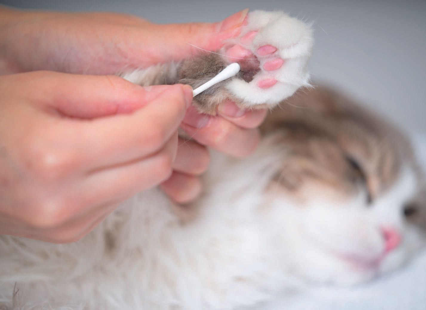 撮影／石原さくら