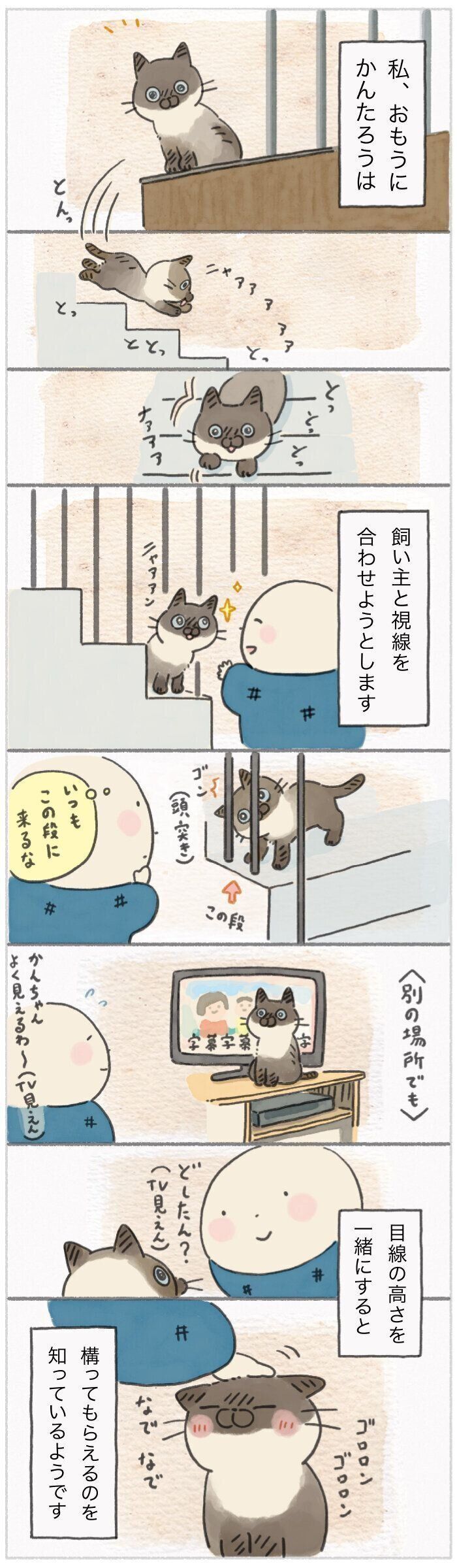 「ねこ連れ草」261話め