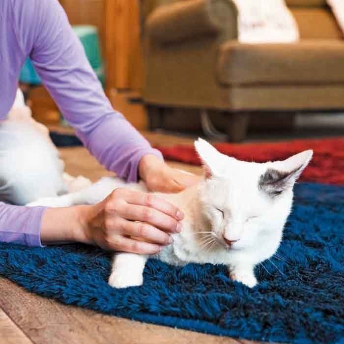 撮影／中川文作