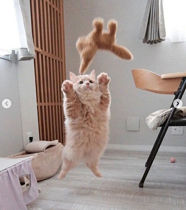 ジャンプするぽこくん