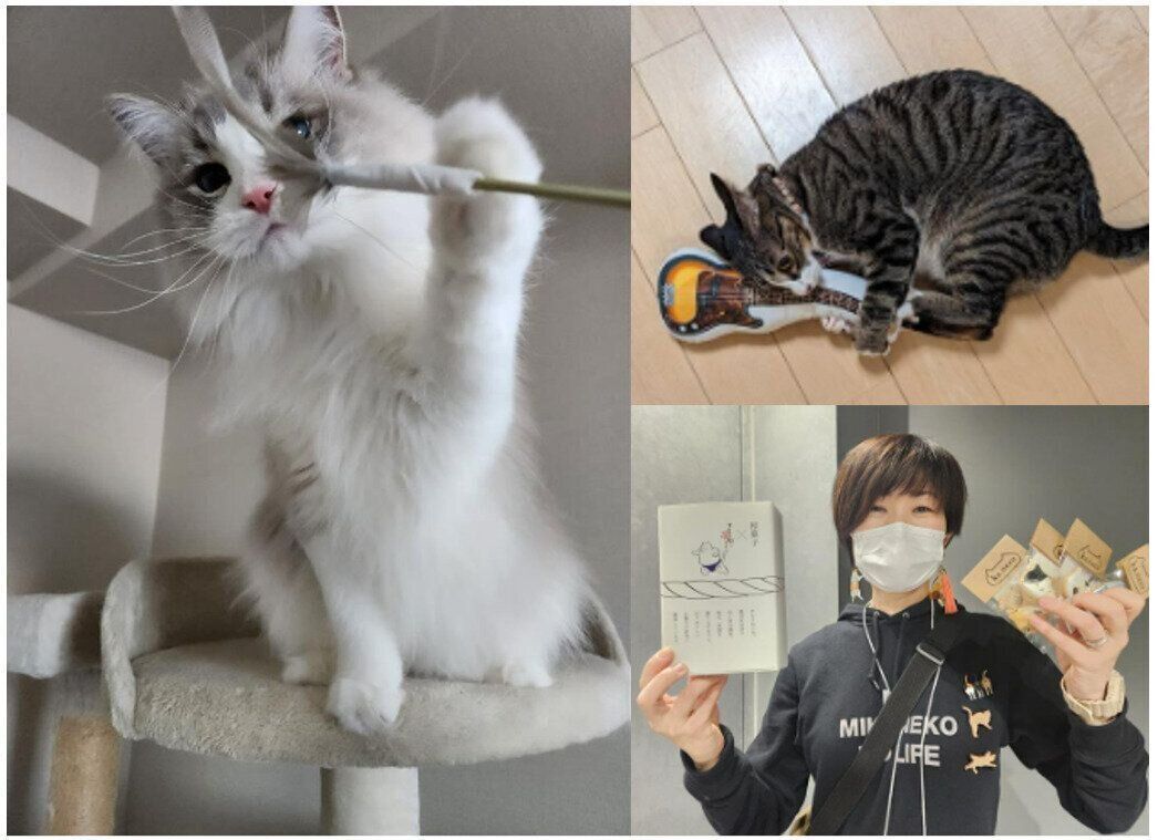 第1回ねこのきもちマルシェ　戦利品