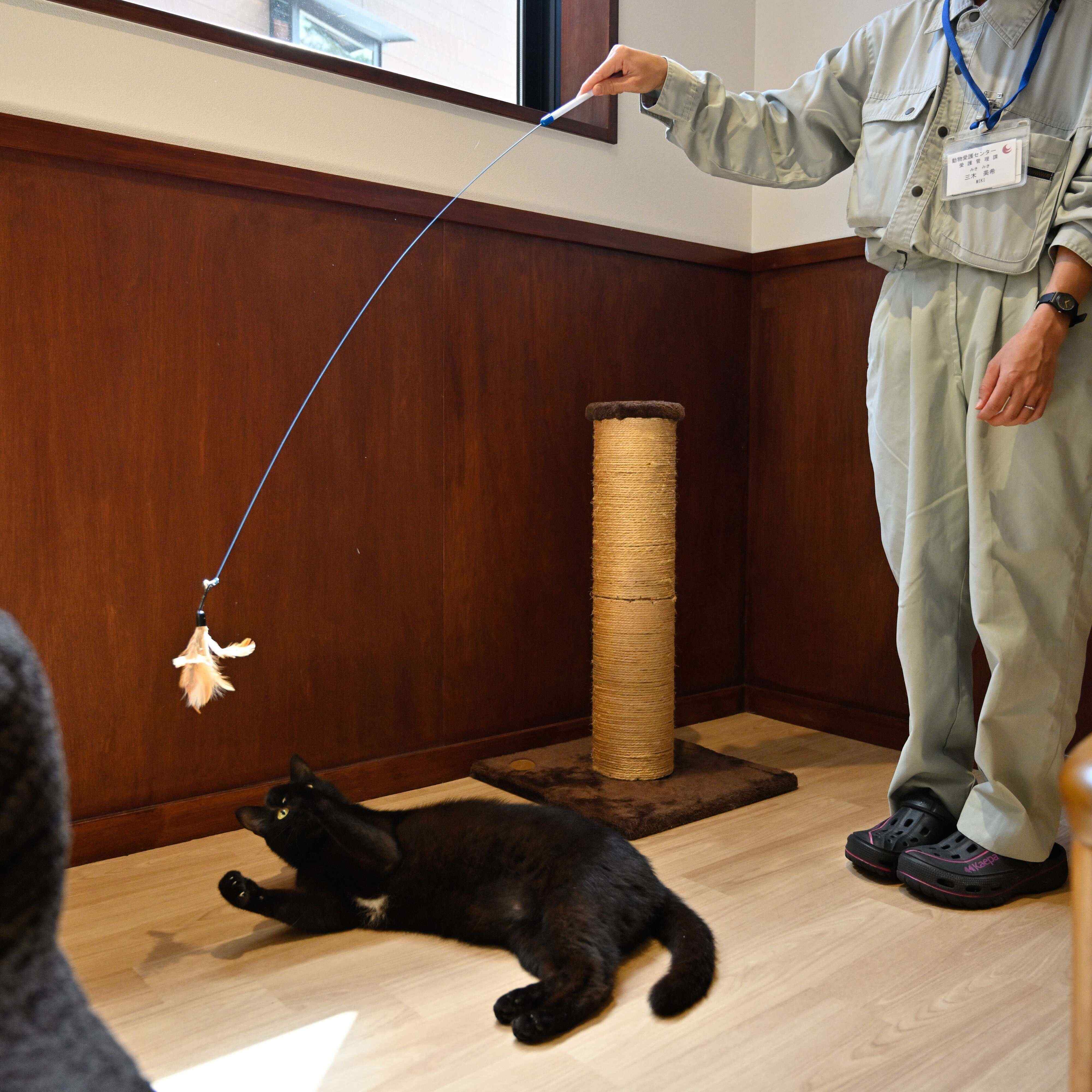 撮影／Akimasa Harada