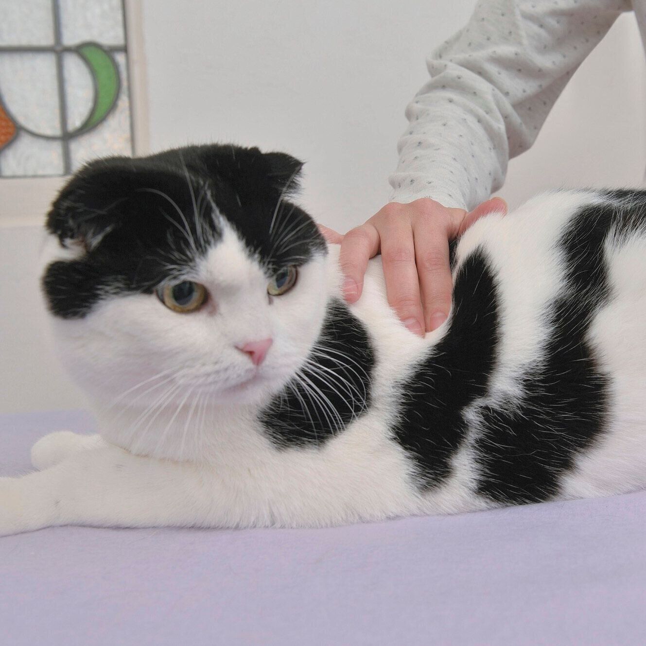 撮影／尾﨑たまき