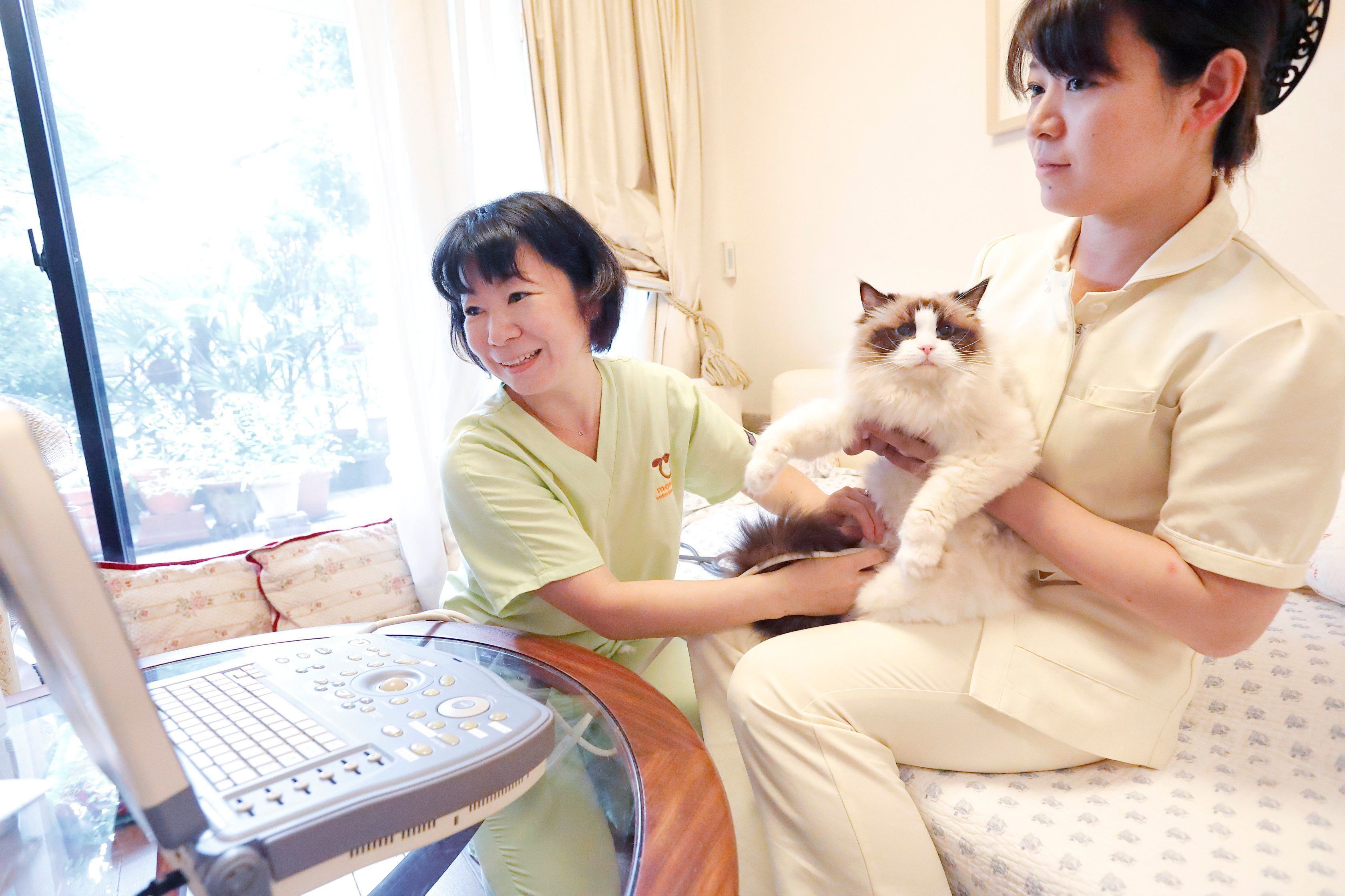 撮影／後藤さくら