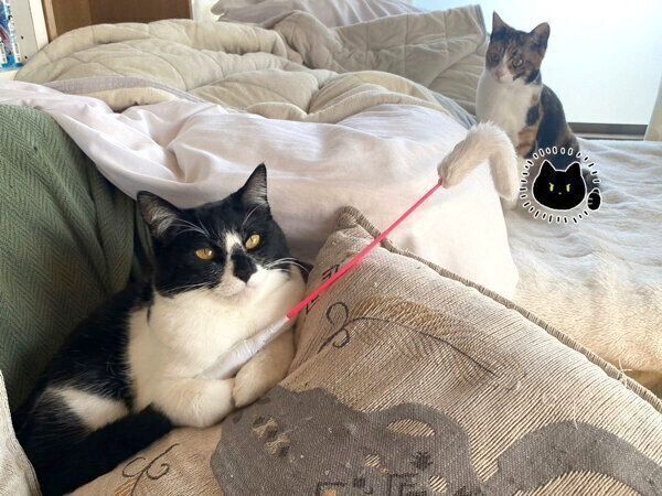 まめさんとチビちゃん