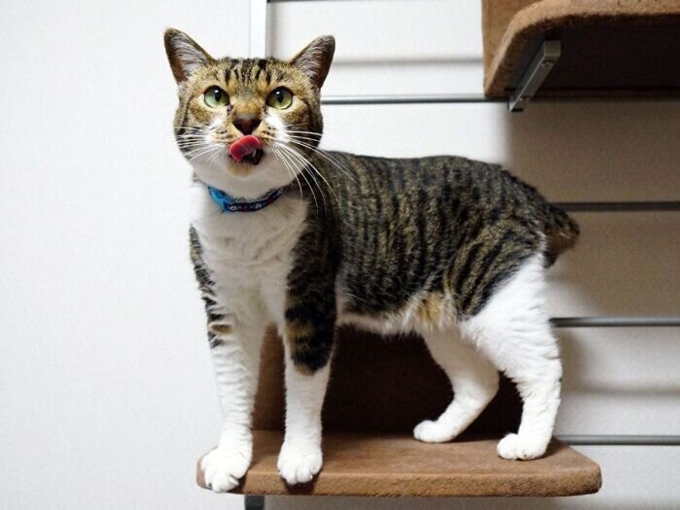 0oiz58r Ems2dm 0oiz58r Ems2dm