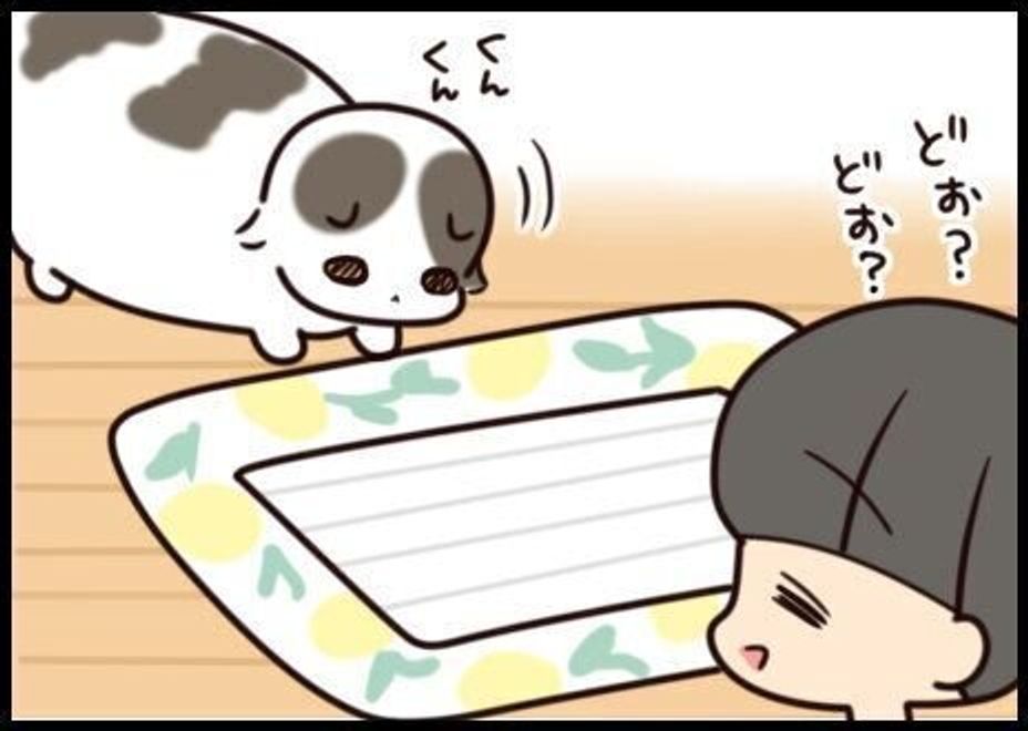 新しいベッドは気に入ってくれる 好みにムラがある猫たち 連載 もふもふスコたん 184 ねこのきもちweb Magazine 新しいベッドは気に入ってくれる 好みにムラがある猫たち 連載 もふもふスコたん 184 ねこのきもちweb Magazine