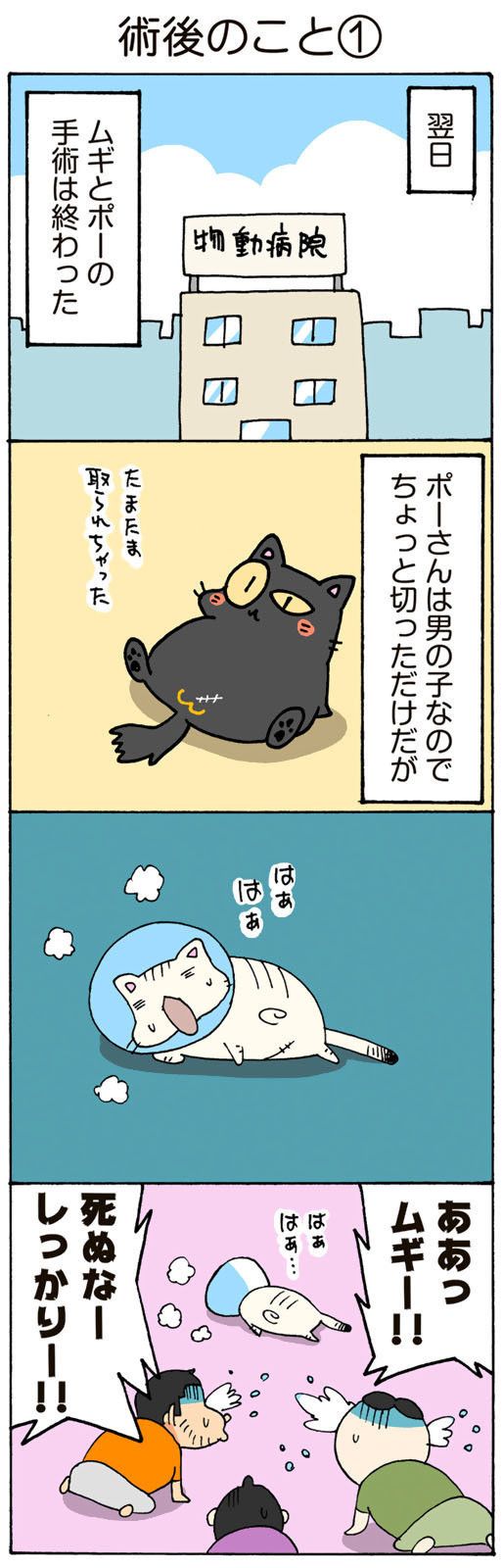 ©片倉真二/講談社