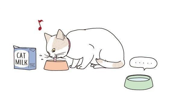 イラスト／二階堂ちはる