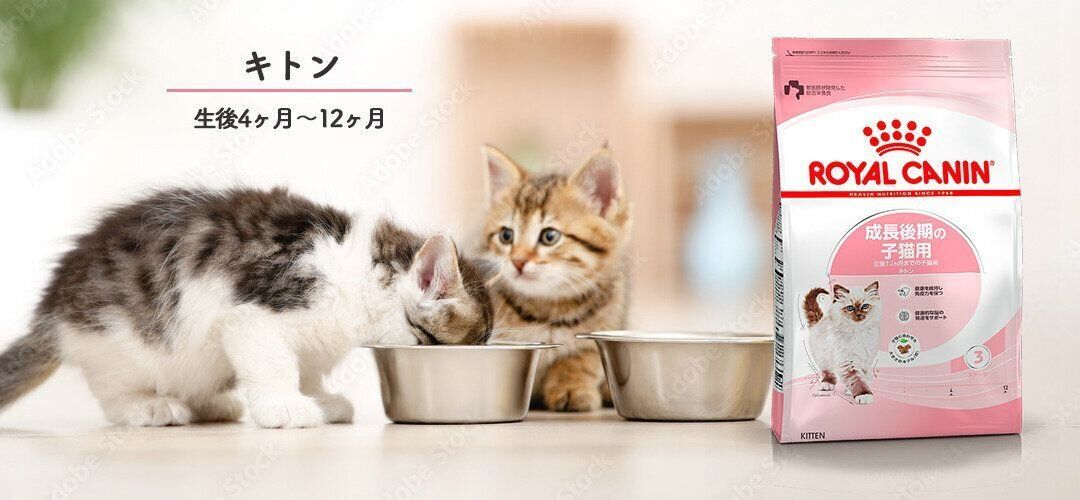 イメージ5