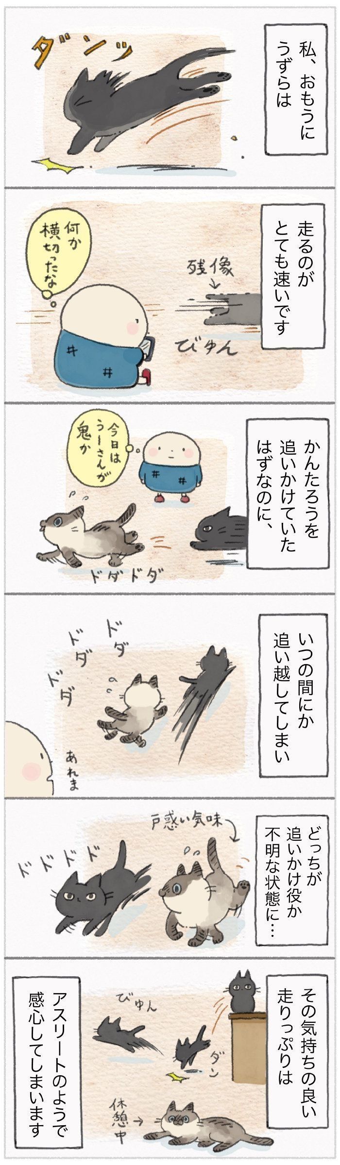 「ねこ連れ草」76話め