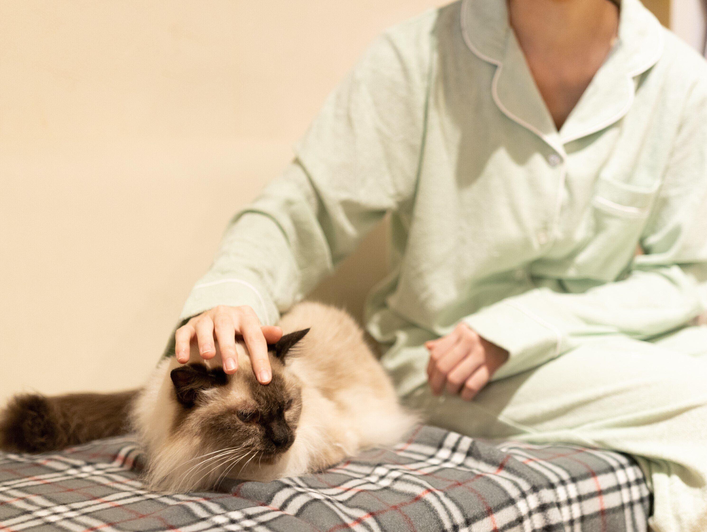 撮影／石原さくら