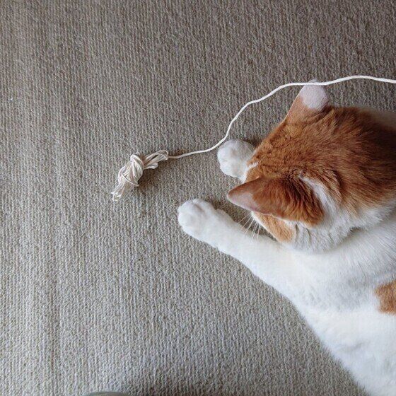 MIXのからちゃんと紙ヒモねずみさん