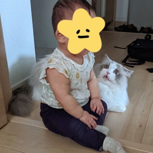 赤ちゃんが突然隣に座ってきて驚くぽかりくん