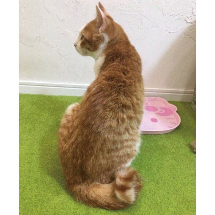 生後推定5カ月のふうたくん