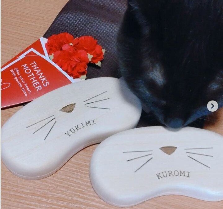 母の日にもらったヒゲケース