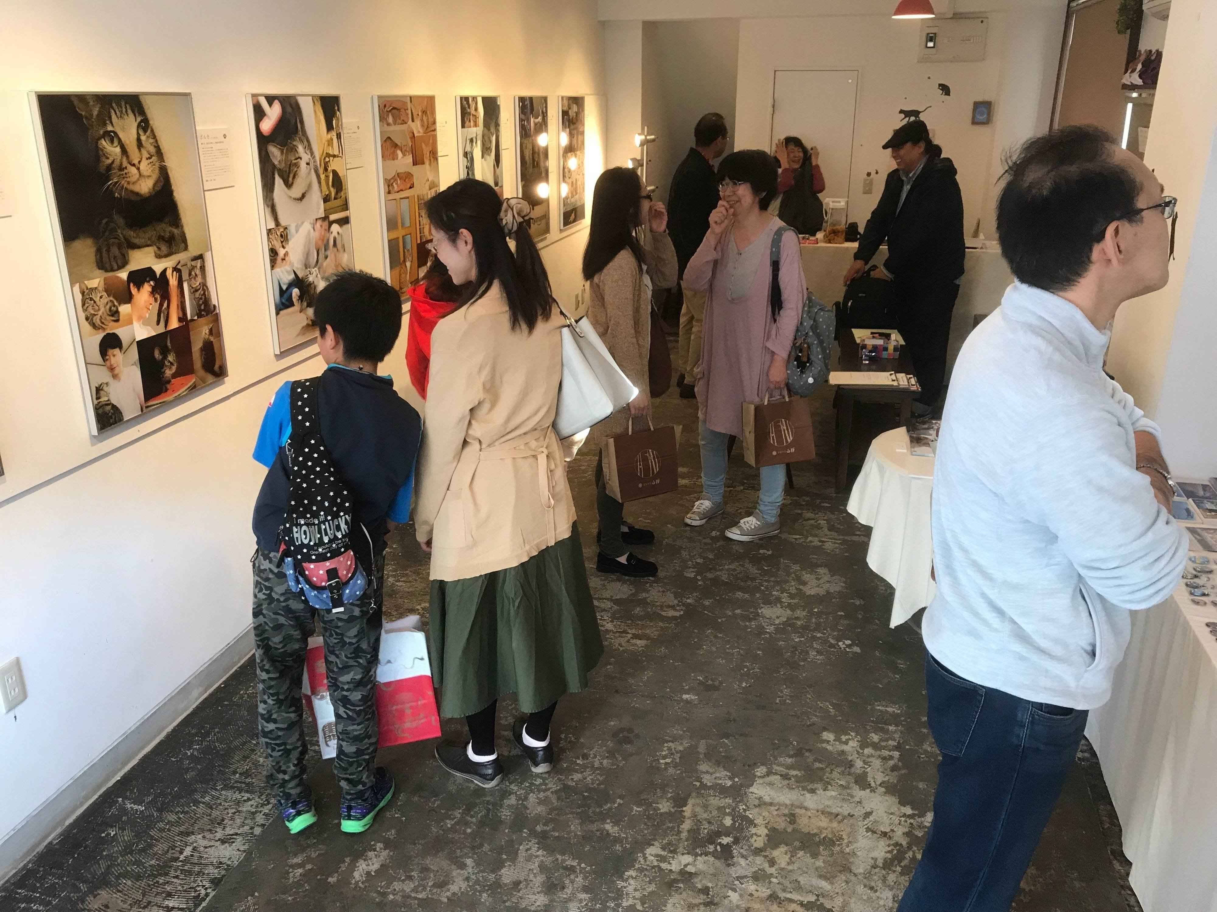 画像提供／御蔵島のオオミズナギドリを守りたい有志の会