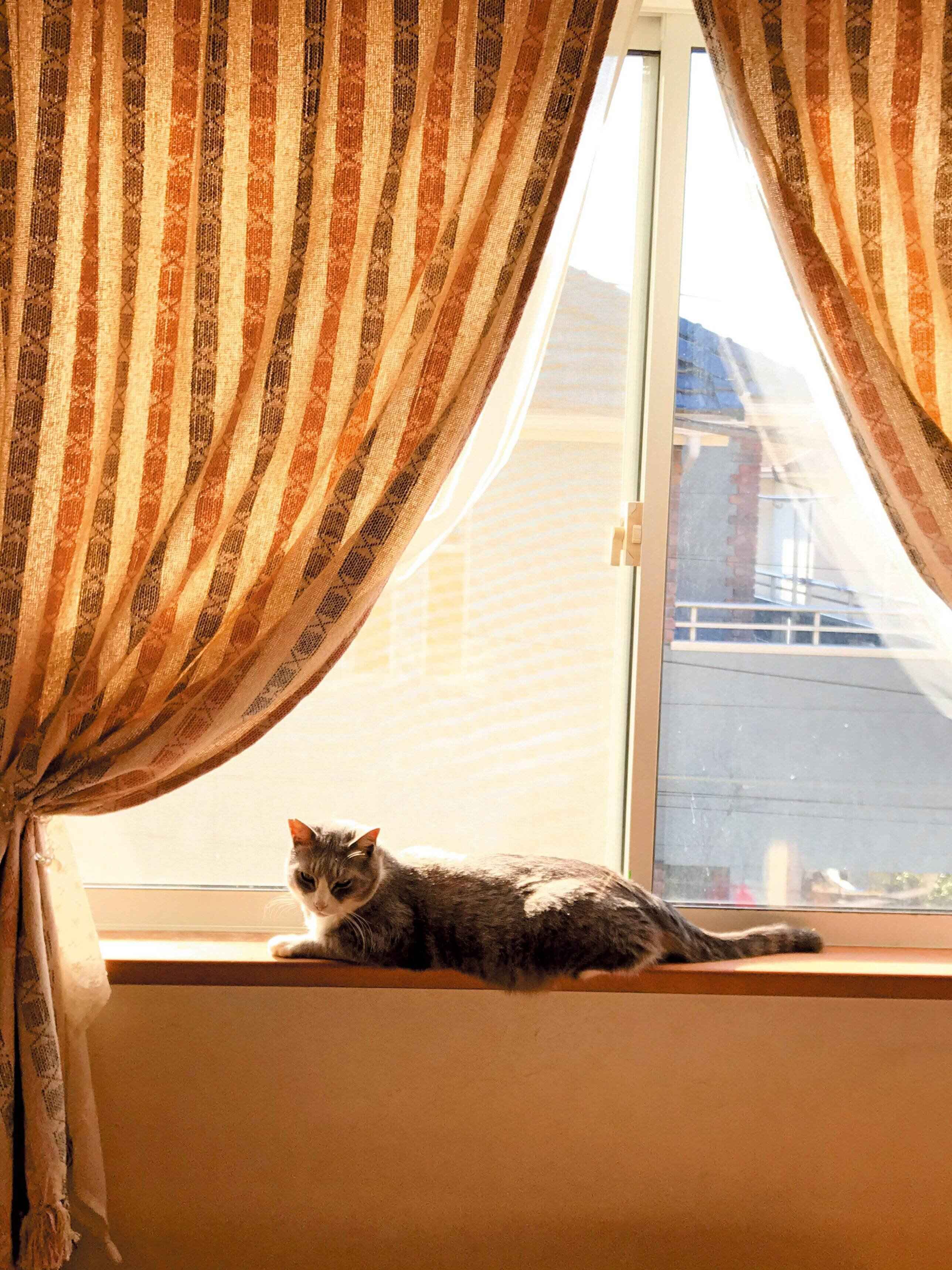 撮影／奥山美奈子