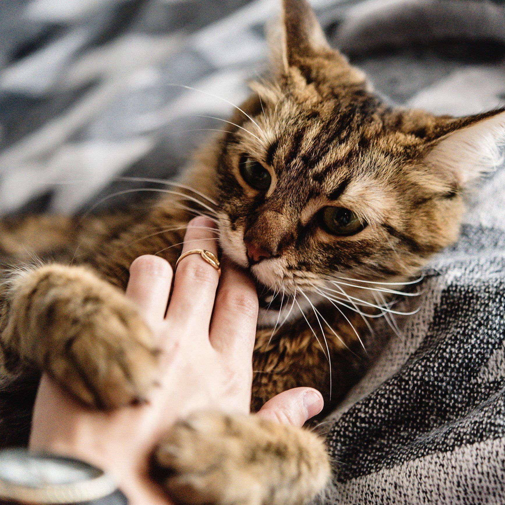 画像／iStock、Getty Images Plus