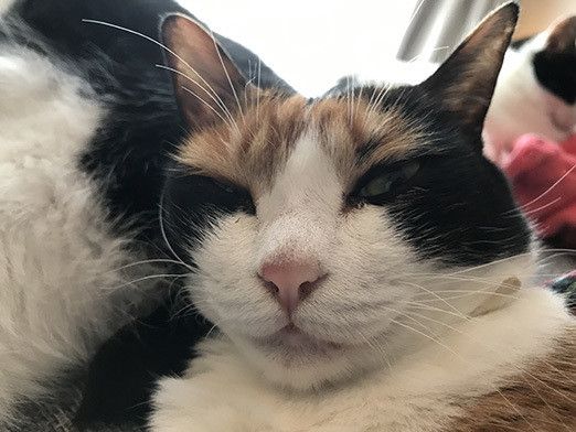 夢みるソラのとんでもない行動