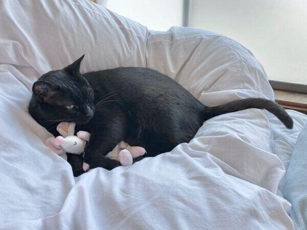 ぬいぐるみを抱くろんさん