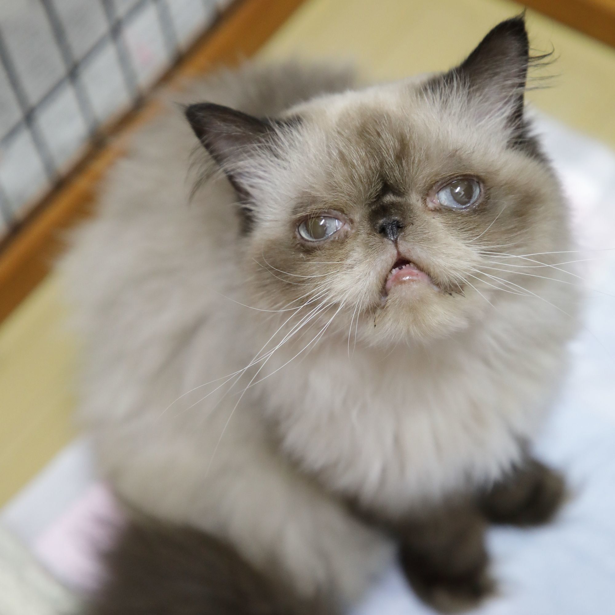 撮影／尾﨑たまき