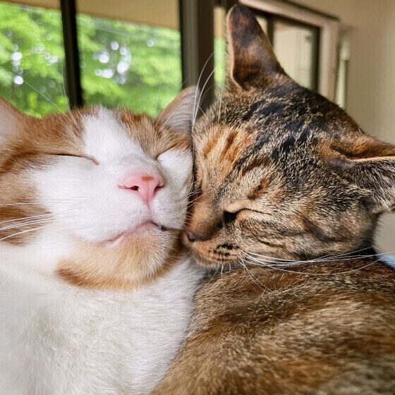 Mix（茶×白）のエコーくんたち♪