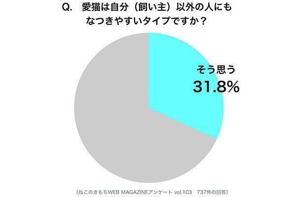 猫のなつき方 飼い主さんにしか見せない一面とは ねこのきもちweb Magazine