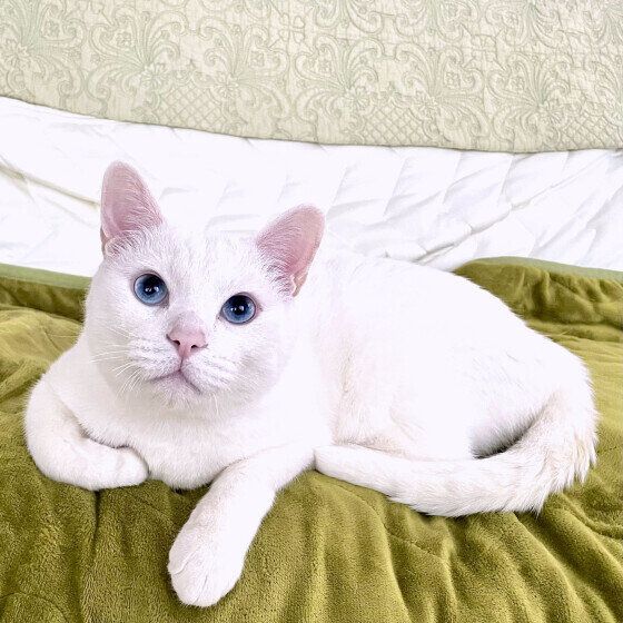 見上げるソラくん（MIX）