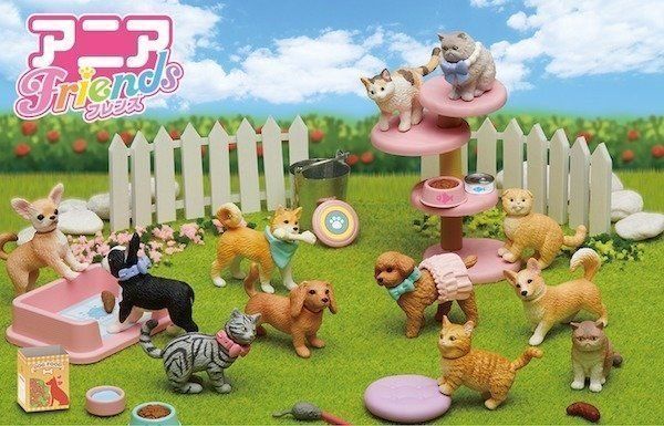 アニアフレンズ