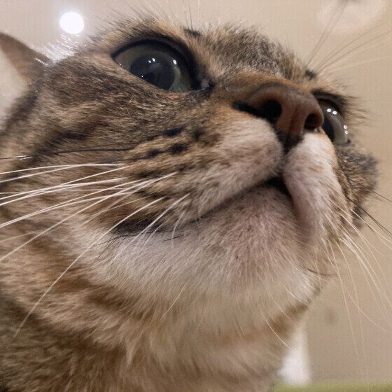 下からアップで撮れらたベルちゃん