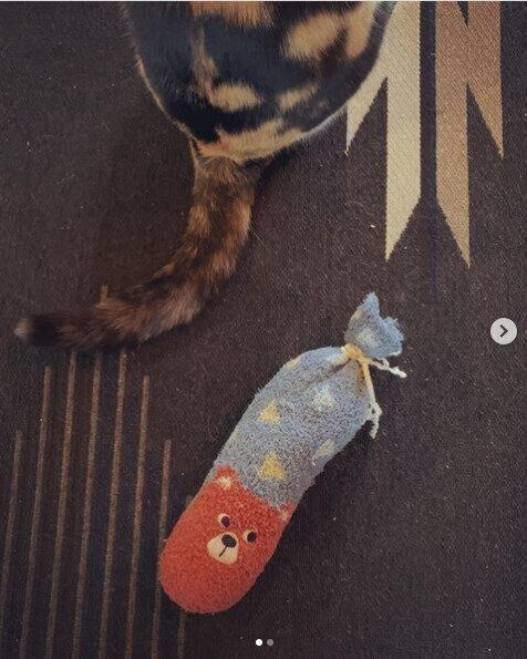 ルームソックスでけりぐるみ