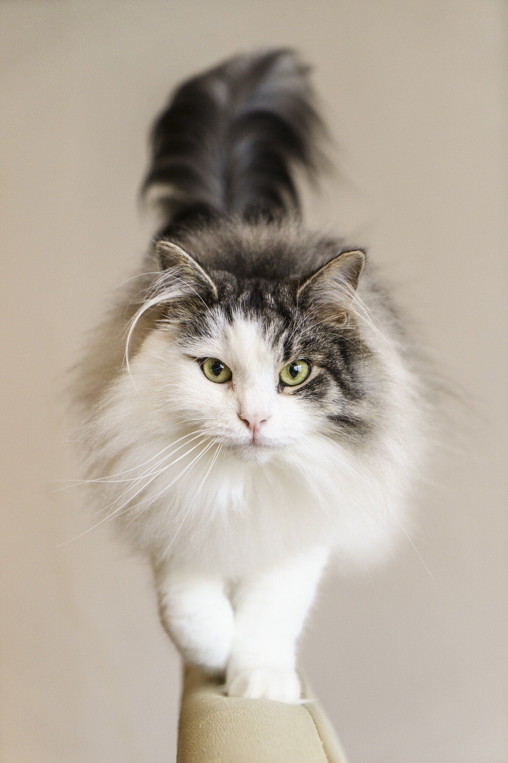 撮影／Akimasa Harada